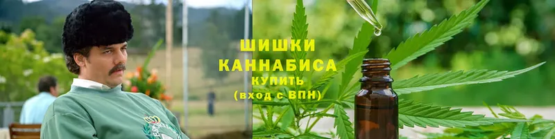 Бошки марихуана OG Kush  блэк спрут онион  Инта 